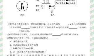 初一下册生物期中试卷